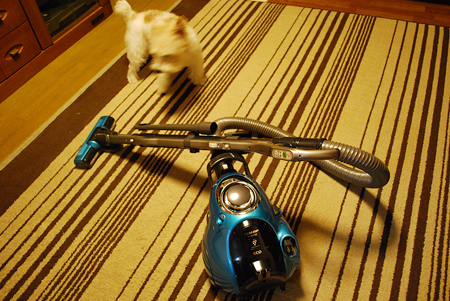 f:id:otoshimono:20111011183658j:image