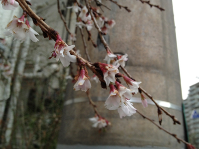 f:id:otoshimono:20120212225405j:image