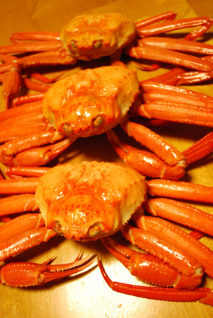 f:id:otoshimono:20120225211233j:image