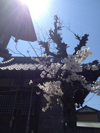 f:id:otoshimono:20120407105613j:image