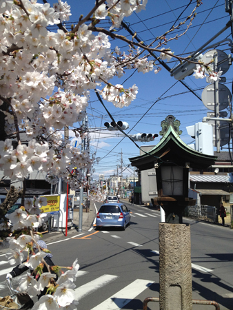 f:id:otoshimono:20120407105715j:image