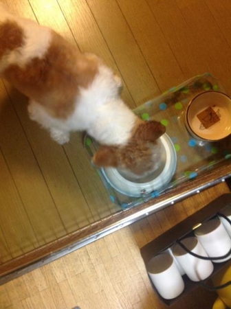 f:id:otoshimono:20120428163946j:image