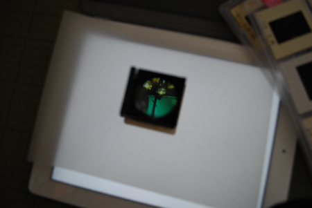 f:id:otoshimono:20120615155413j:image