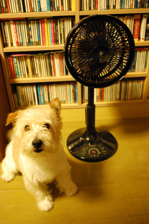 f:id:otoshimono:20120710225641j:image
