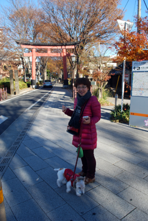 f:id:otoshimono:20121210091714j:image