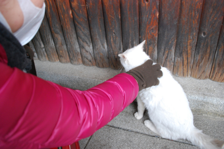 f:id:otoshimono:20130102132134j:image