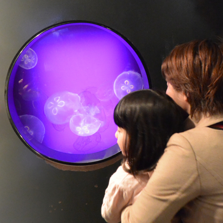 f:id:otoshimono:20130325123131j:image f:id:otoshimono:20130325123131j:image