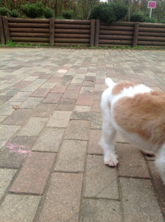 f:id:otoshimono:20131103150448j:image f:id:otoshimono:20131103150448j:image