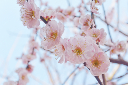 f:id:otoshimono:20140325072335j:image