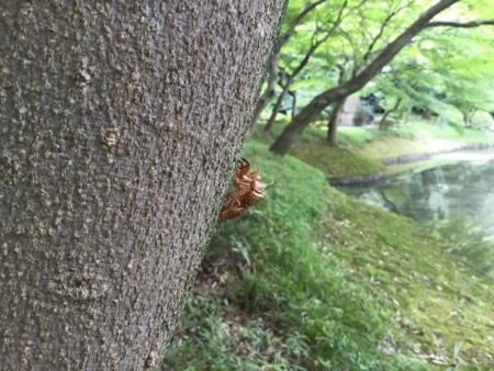 f:id:otoshimono:20160816152921j:image
