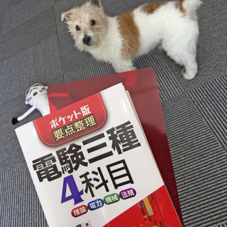 f:id:otoshimono:20170207095735j:image