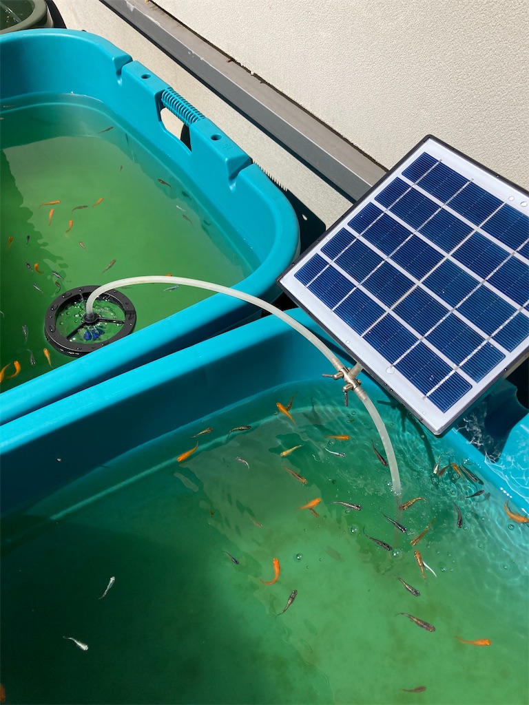 レビュー高評価の商品！ 即購入可！！ソーラーポンプセット 金魚 めだか 装置 ろ過 フィルター・ポンプ・ろ材