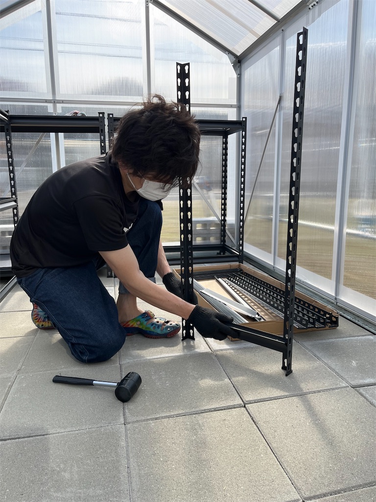 f:id:ototo-biyori:20240614150241j:image