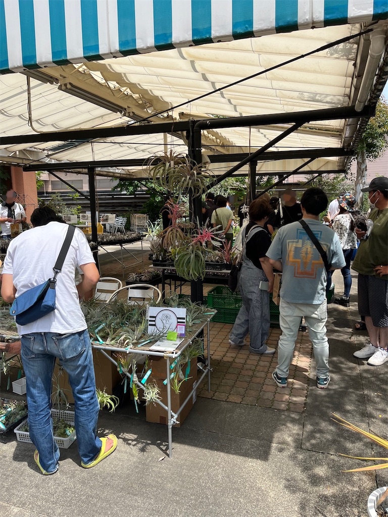 f:id:ototo-biyori:20240624141433j:image