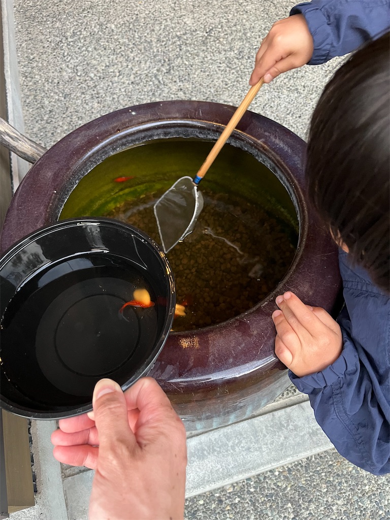 f:id:ototo-biyori:20240711204859j:image