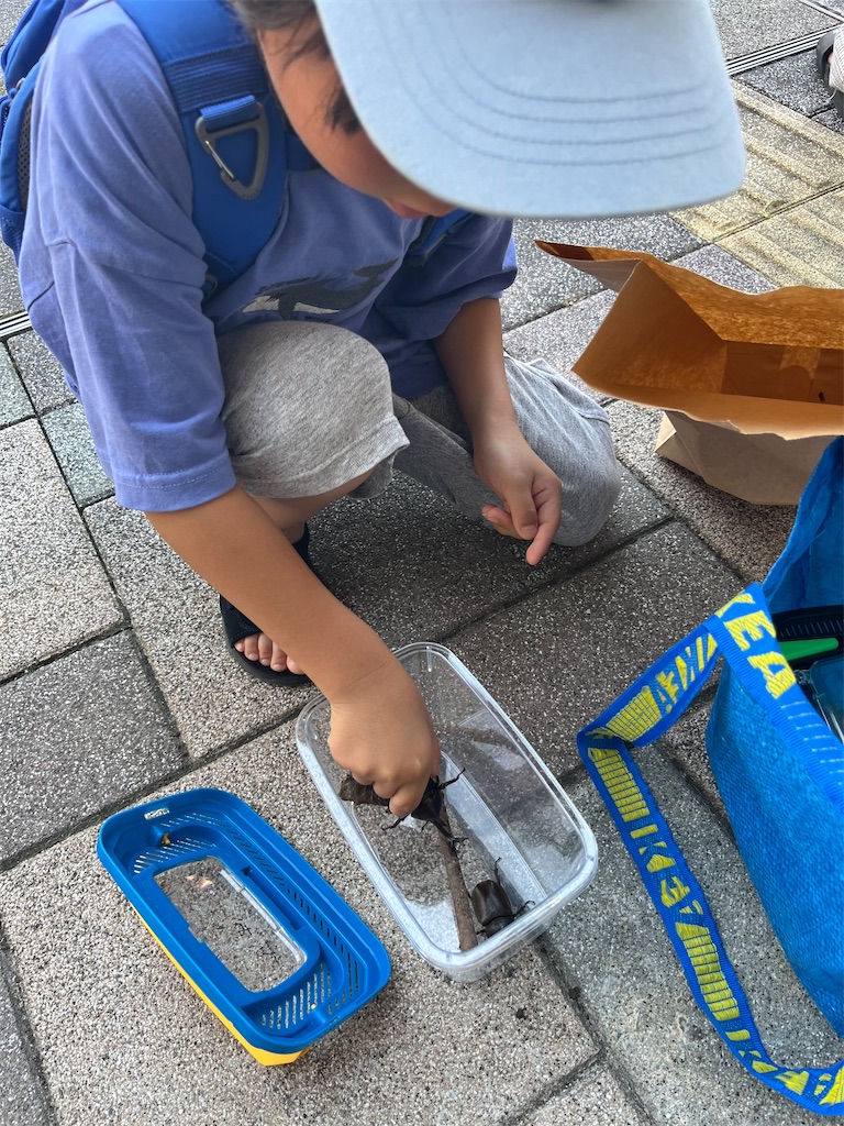 f:id:ototo-biyori:20240729143429j:image