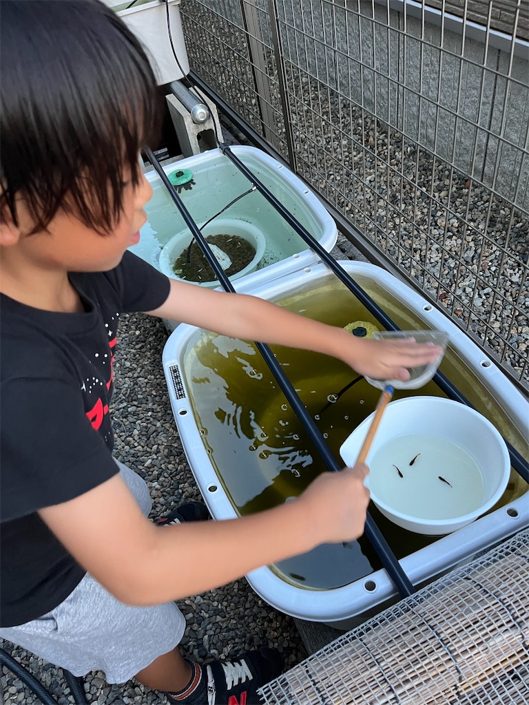 f:id:ototo-biyori:20240822141301j:image
