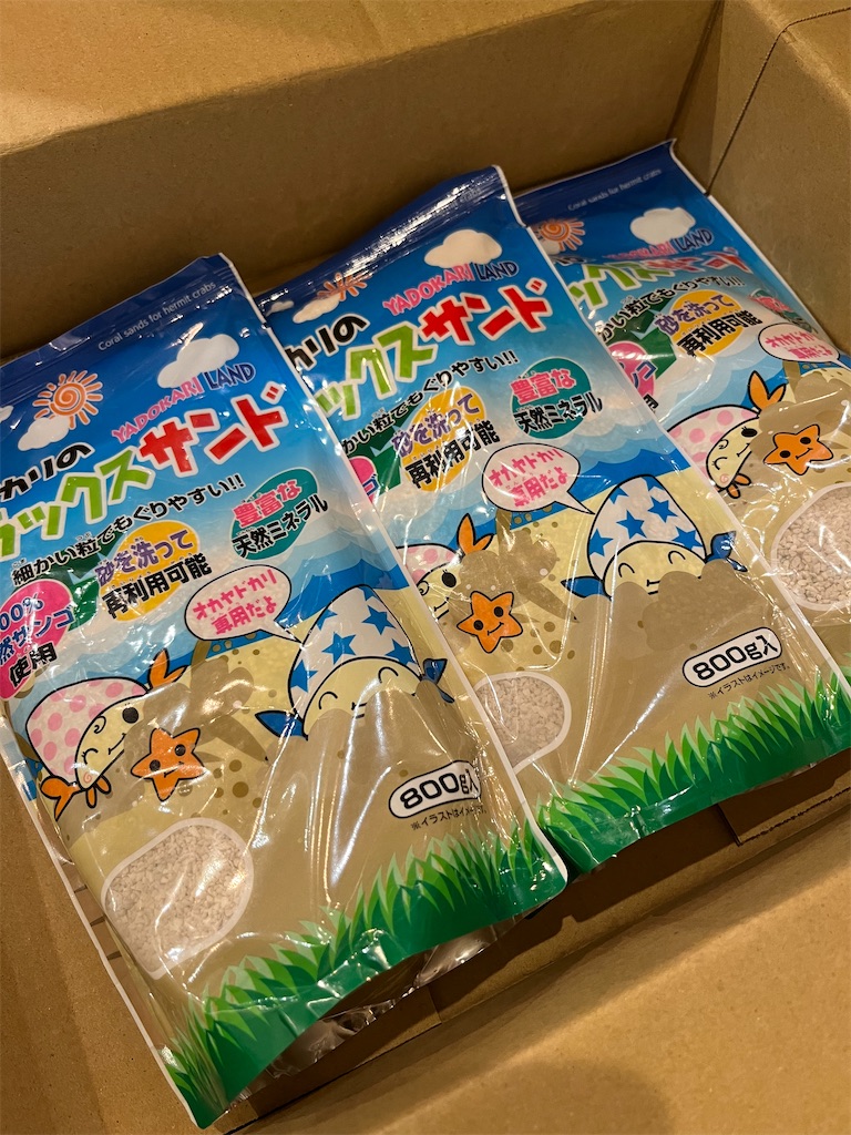 f:id:ototo-biyori:20241203153204j:image