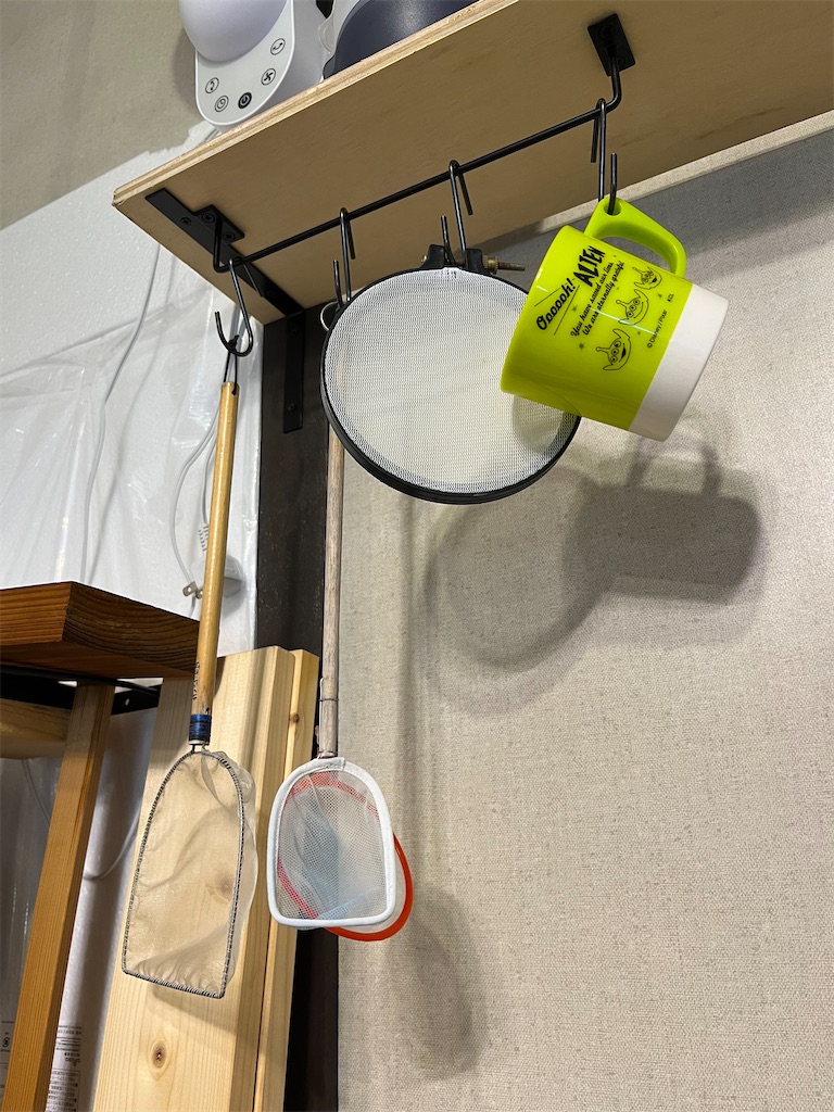 f:id:ototo-biyori:20241213134315j:image