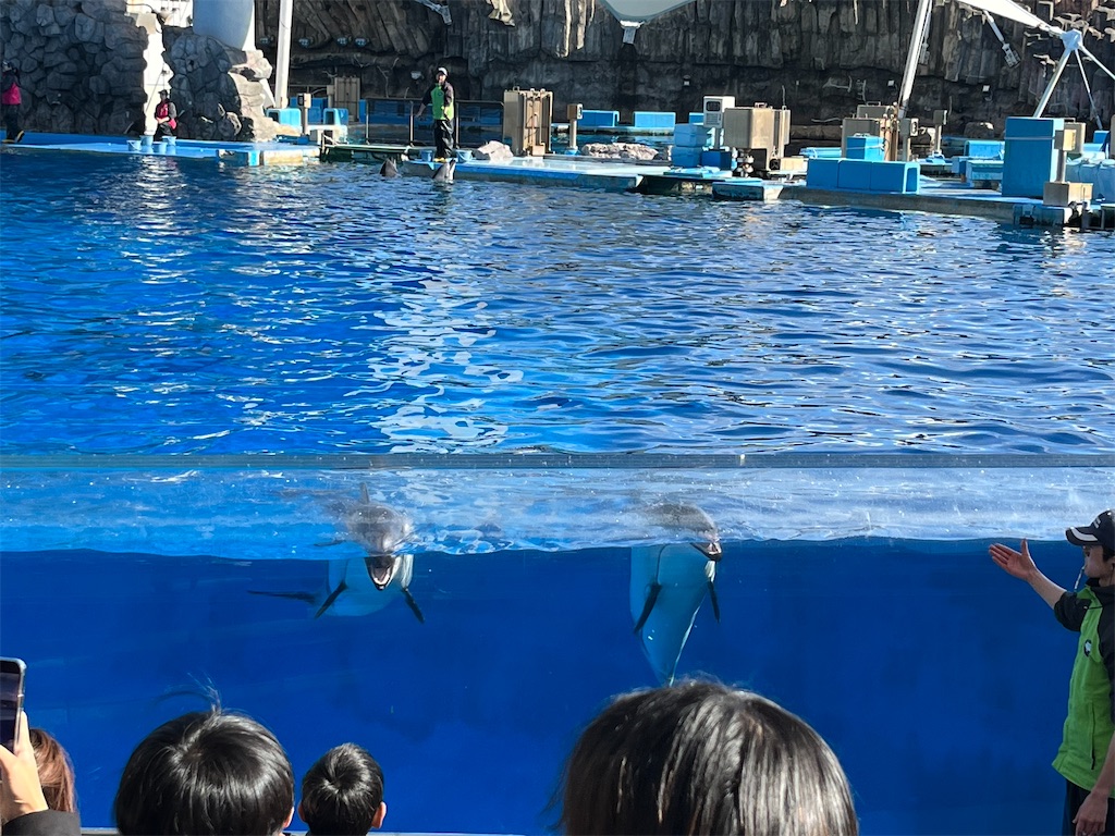 f:id:ototo-biyori:20241217155056j:image