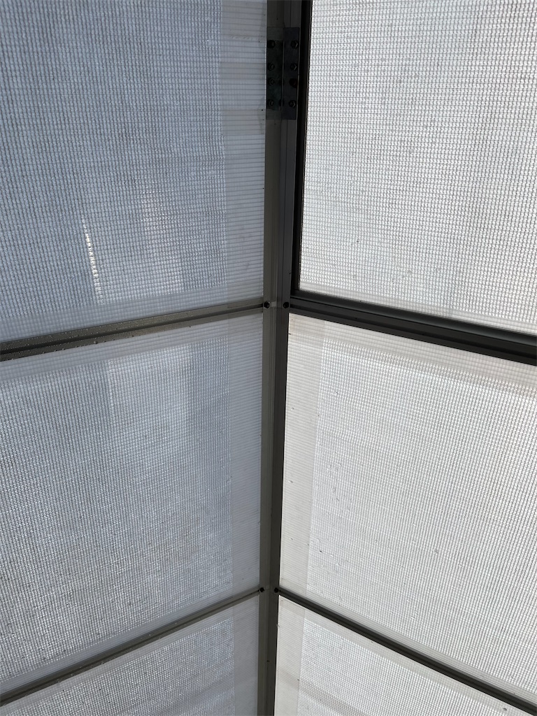 f:id:ototo-biyori:20250110132804j:image