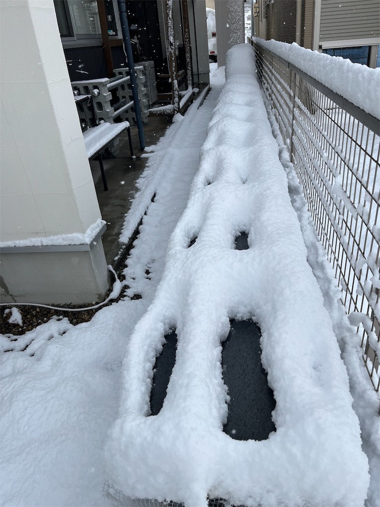 f:id:ototo-biyori:20250214134642j:image