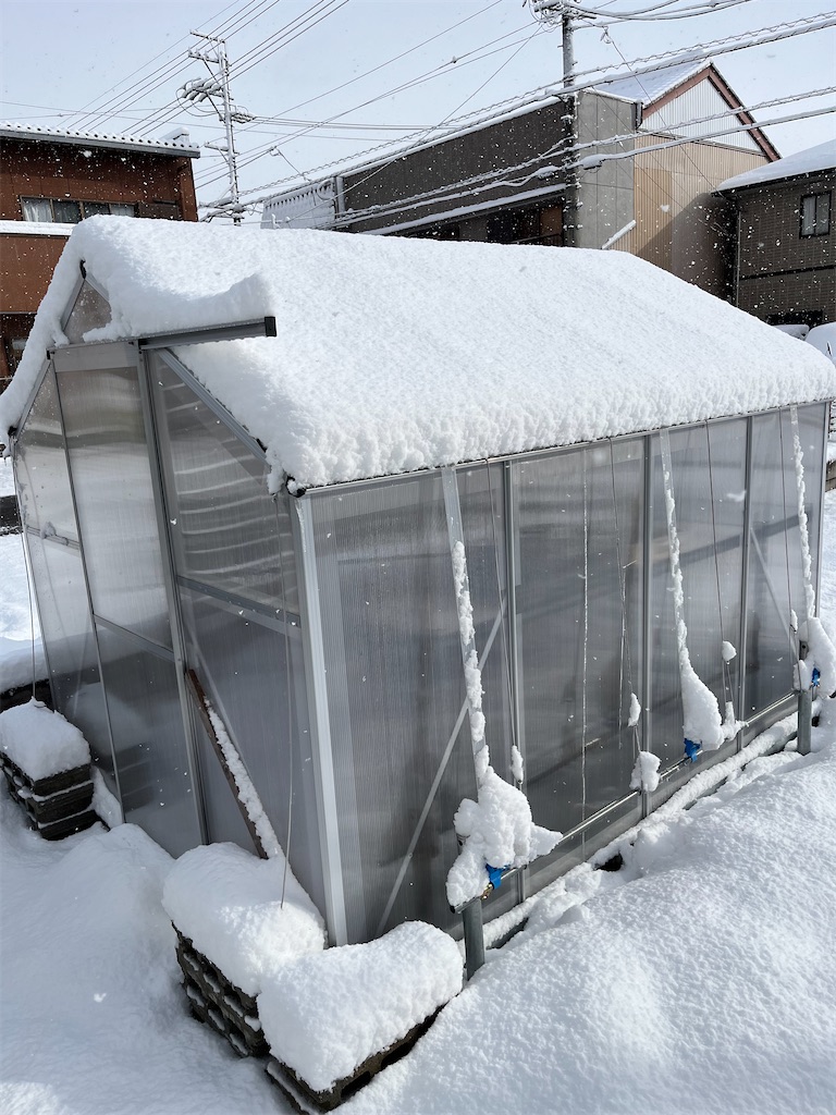 f:id:ototo-biyori:20250214134825j:image