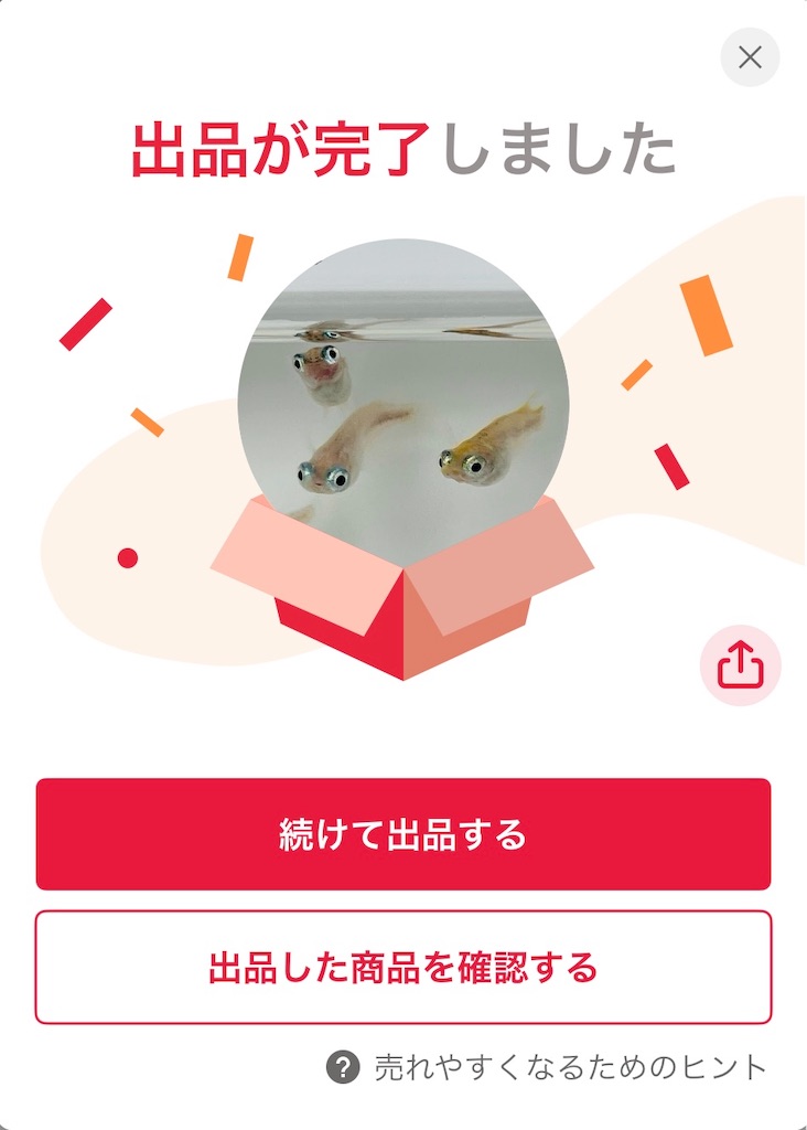 f:id:ototo-biyori:20250520150158j:image