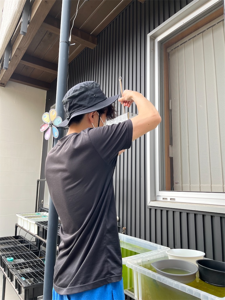 f:id:ototo-biyori:20250523142027j:image