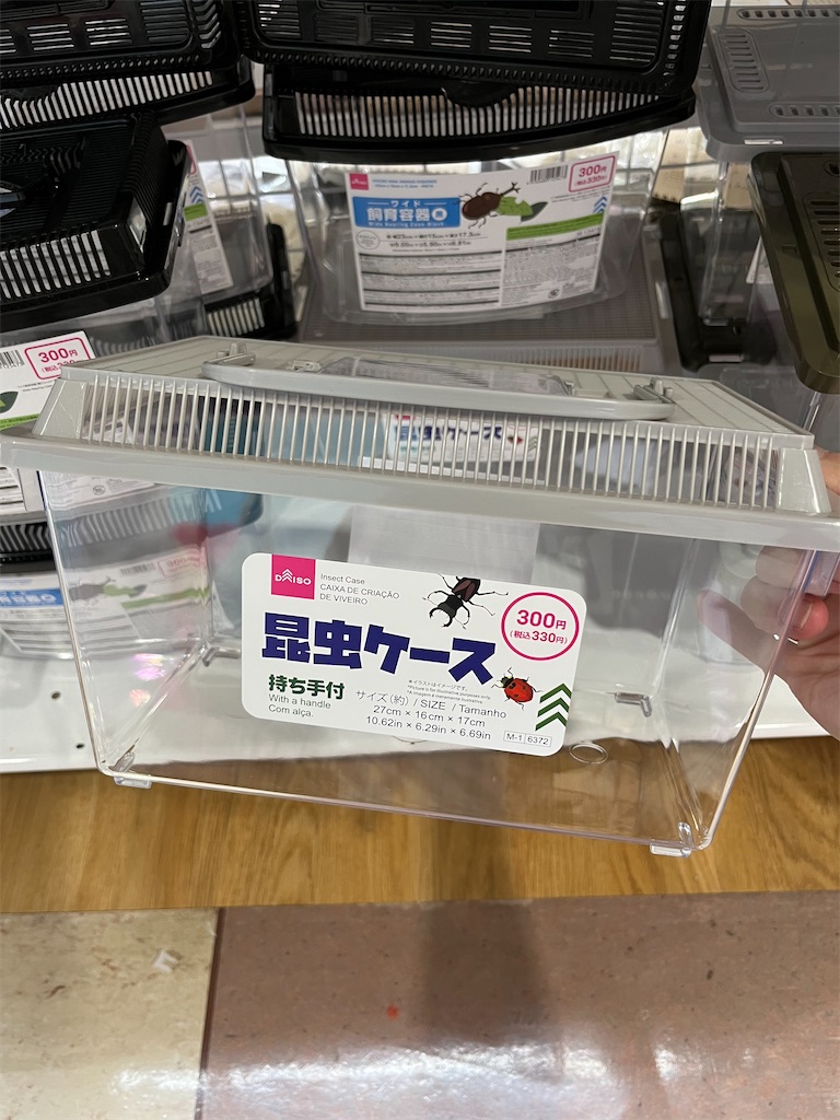 f:id:ototo-biyori:20250603140819j:image
