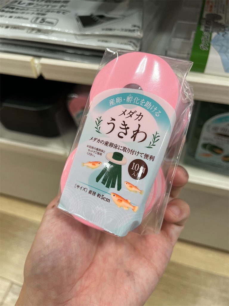 f:id:ototo-biyori:20250603141356j:image