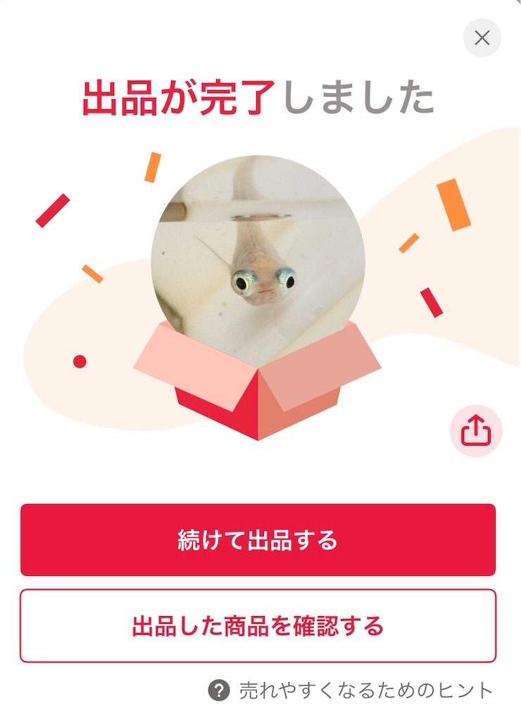 f:id:ototo-biyori:20250610135326j:image