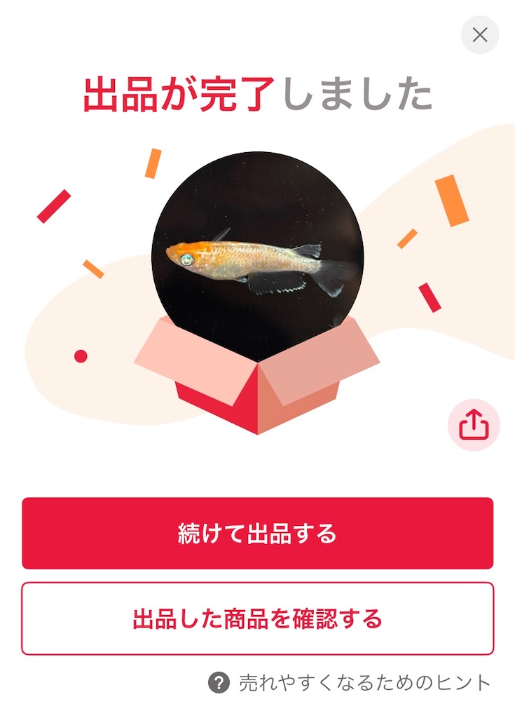 f:id:ototo-biyori:20250610135401j:image