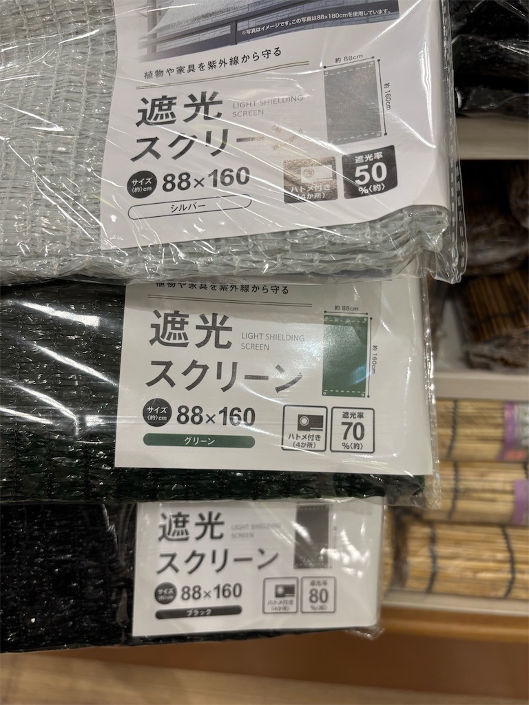 f:id:ototo-biyori:20250617131408j:image