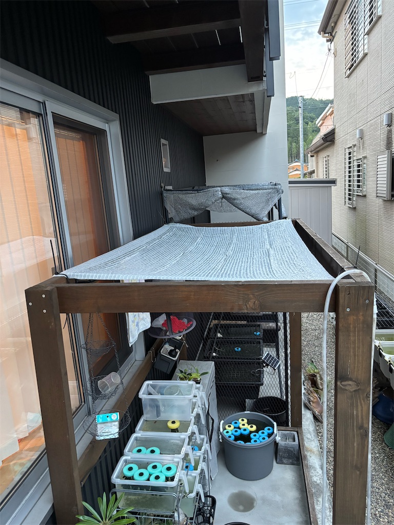 f:id:ototo-biyori:20250617132656j:image