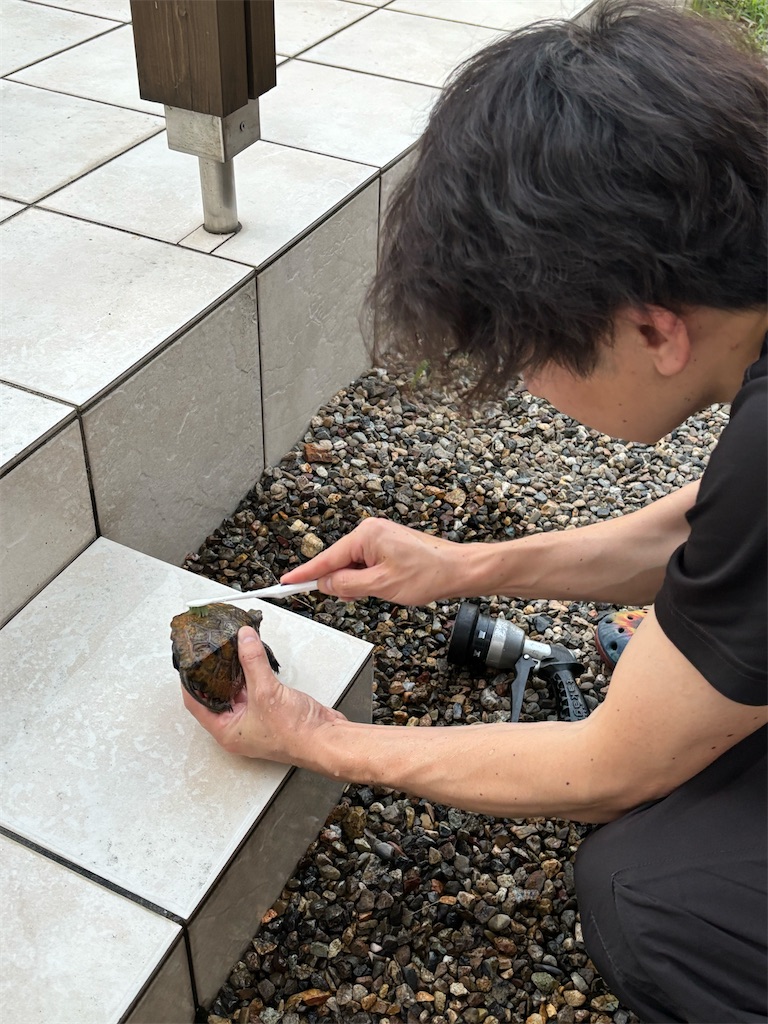 f:id:ototo-biyori:20250620112648j:image