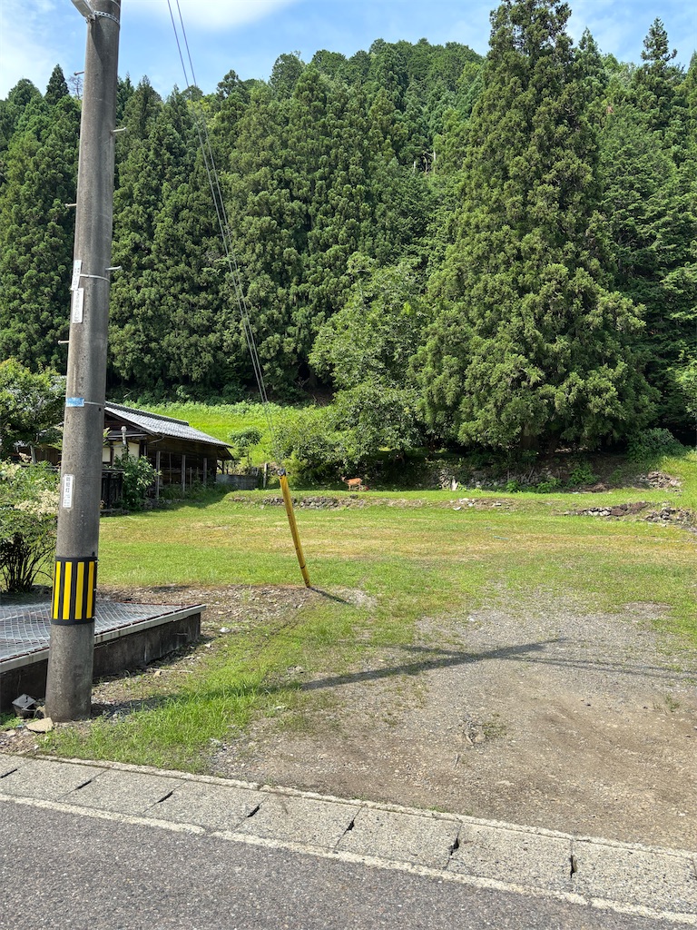 f:id:ototo-biyori:20250701115133j:image
