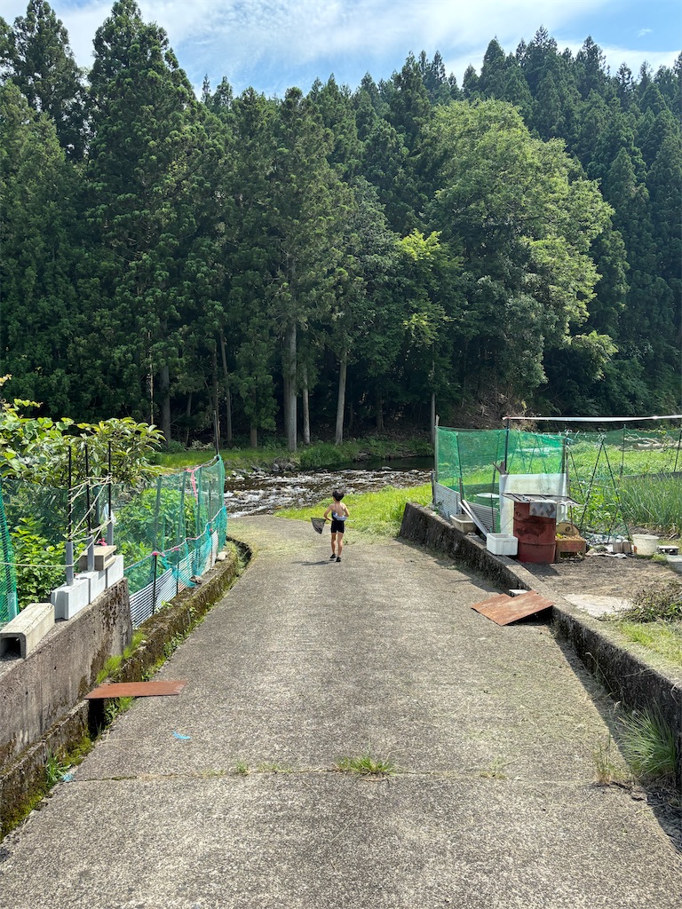 f:id:ototo-biyori:20250701115158j:image