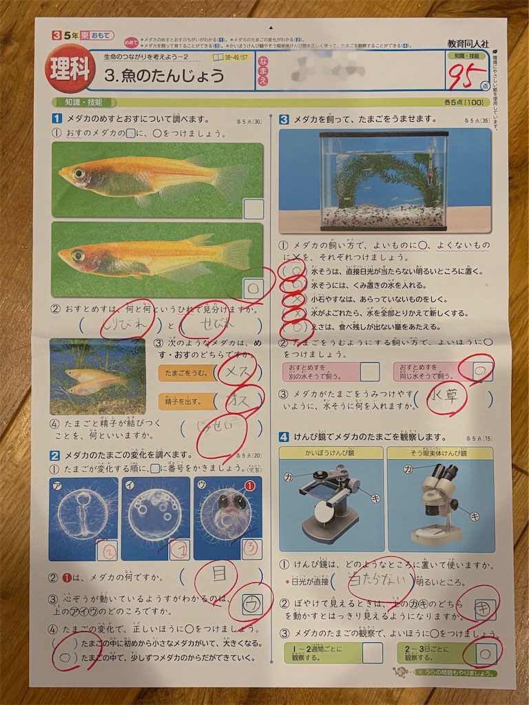 f:id:ototo-biyori:20250722084003j:image