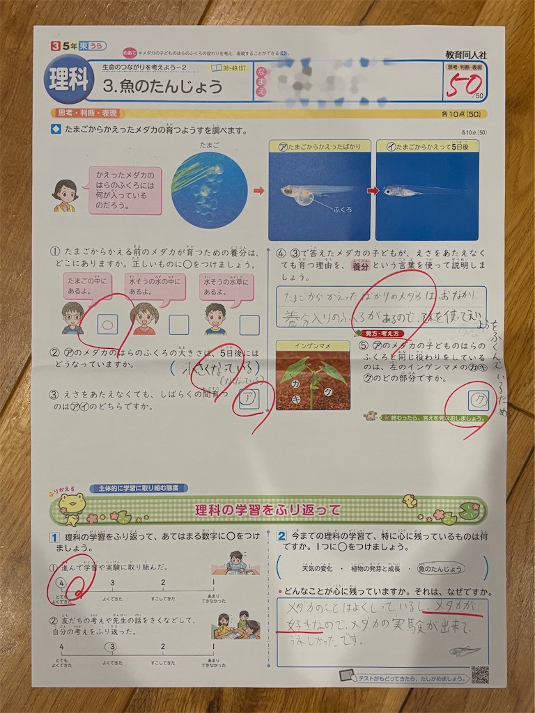 f:id:ototo-biyori:20250722084006j:image