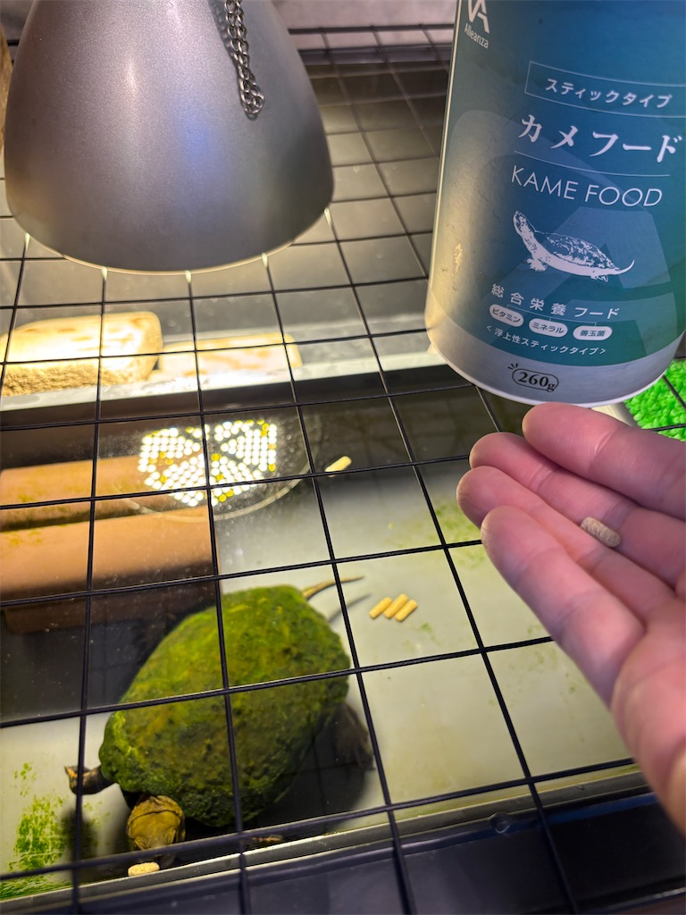 f:id:ototo-biyori:20260310112419j:image