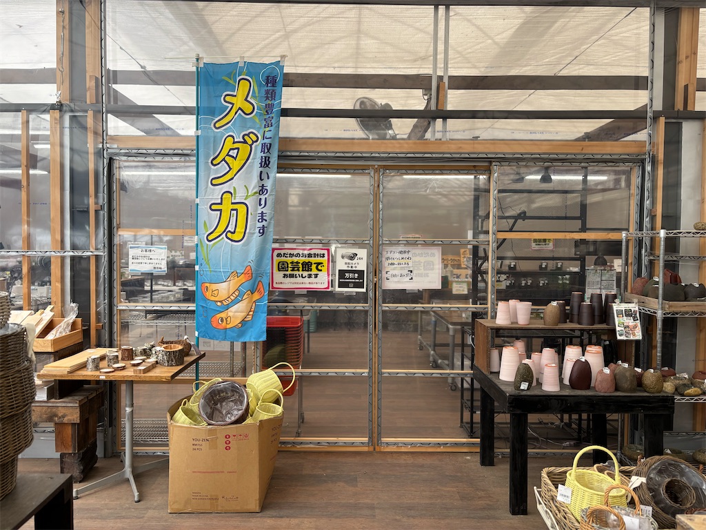 f:id:ototo-biyori:20260604094152j:image f:id:ototo-biyori:20260604094152j:image