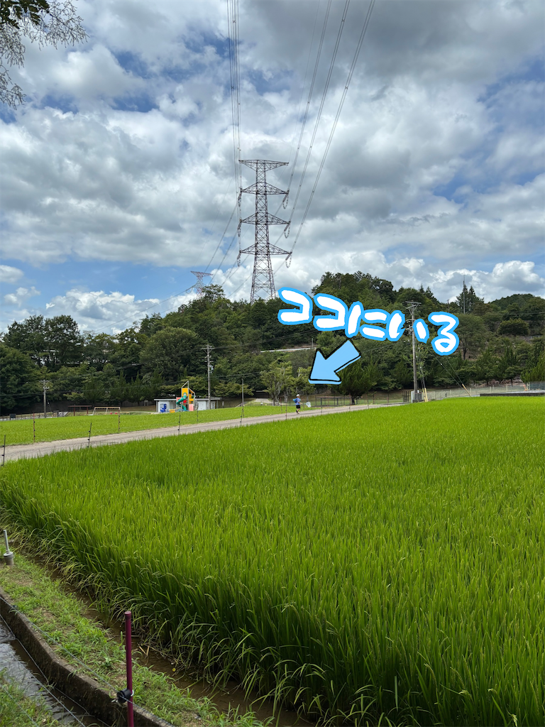 f:id:ototo-biyori:20260820161839p:image