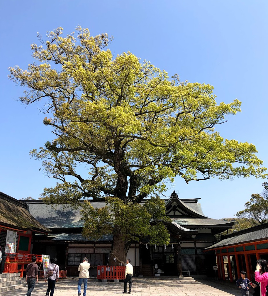 f:id:ototohato:20190420051546j:plain f:id:ototohato:20190420051546j:plain