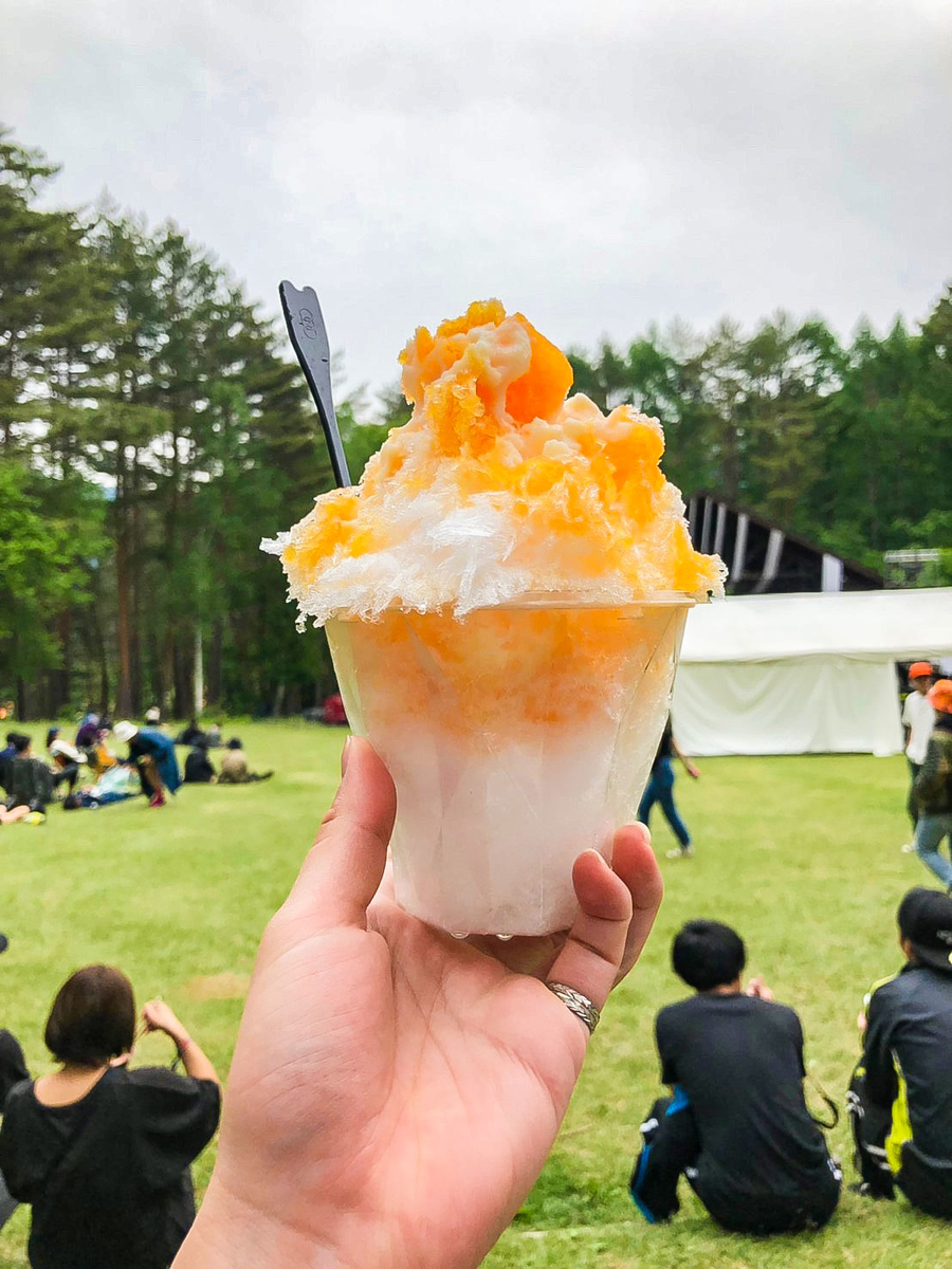 f:id:ototohato:20190602224045j:plain f:id:ototohato:20190602224045j:plain