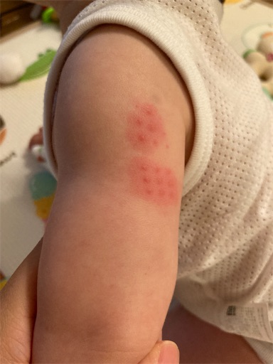 f:id:ototomama:20220604225843j:image