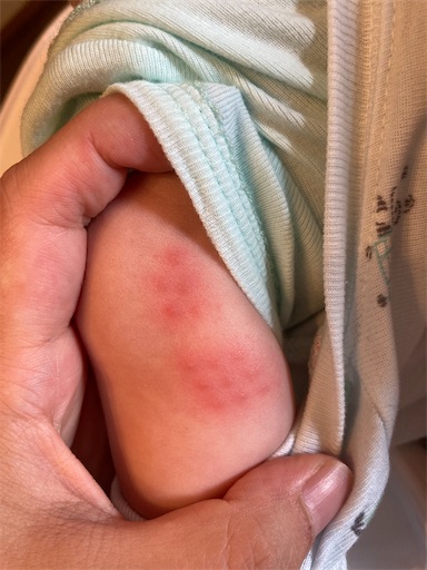 f:id:ototomama:20220604230030j:image