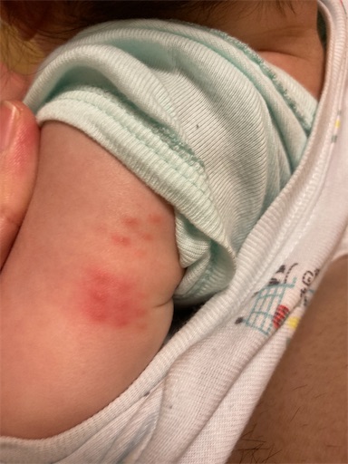 f:id:ototomama:20220604230509j:image