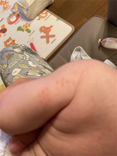 f:id:ototomama:20220604230831j:image