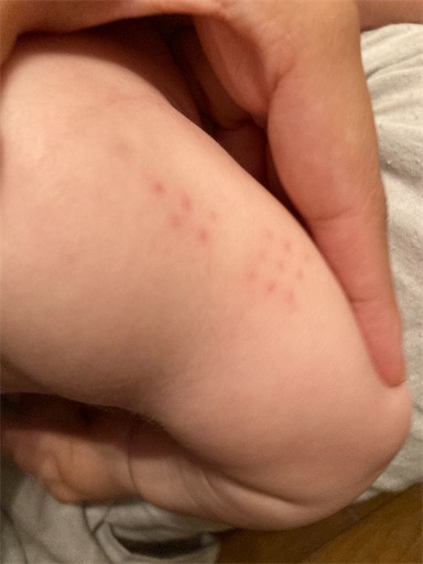 f:id:ototomama:20220604230834j:image